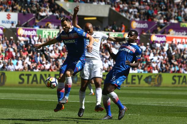 生涯背景 生涯背景