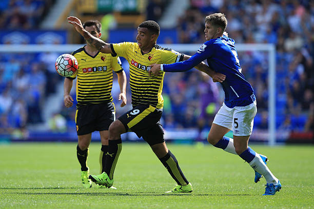 加盟将可能 加盟将可能